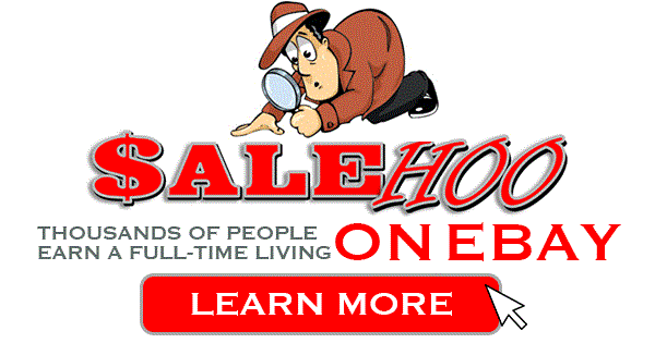 Read more about the article Work at Home and Profiting from Salehoo