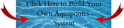 Aquaponics System